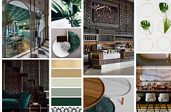 and color palettes